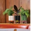 Debossed Plant Pot On Wooden Stand - Black
