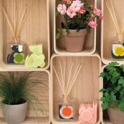 Dog Candle - Fig & Cedarwood -Home Furnishing Store okhhm4040a dogcandle5